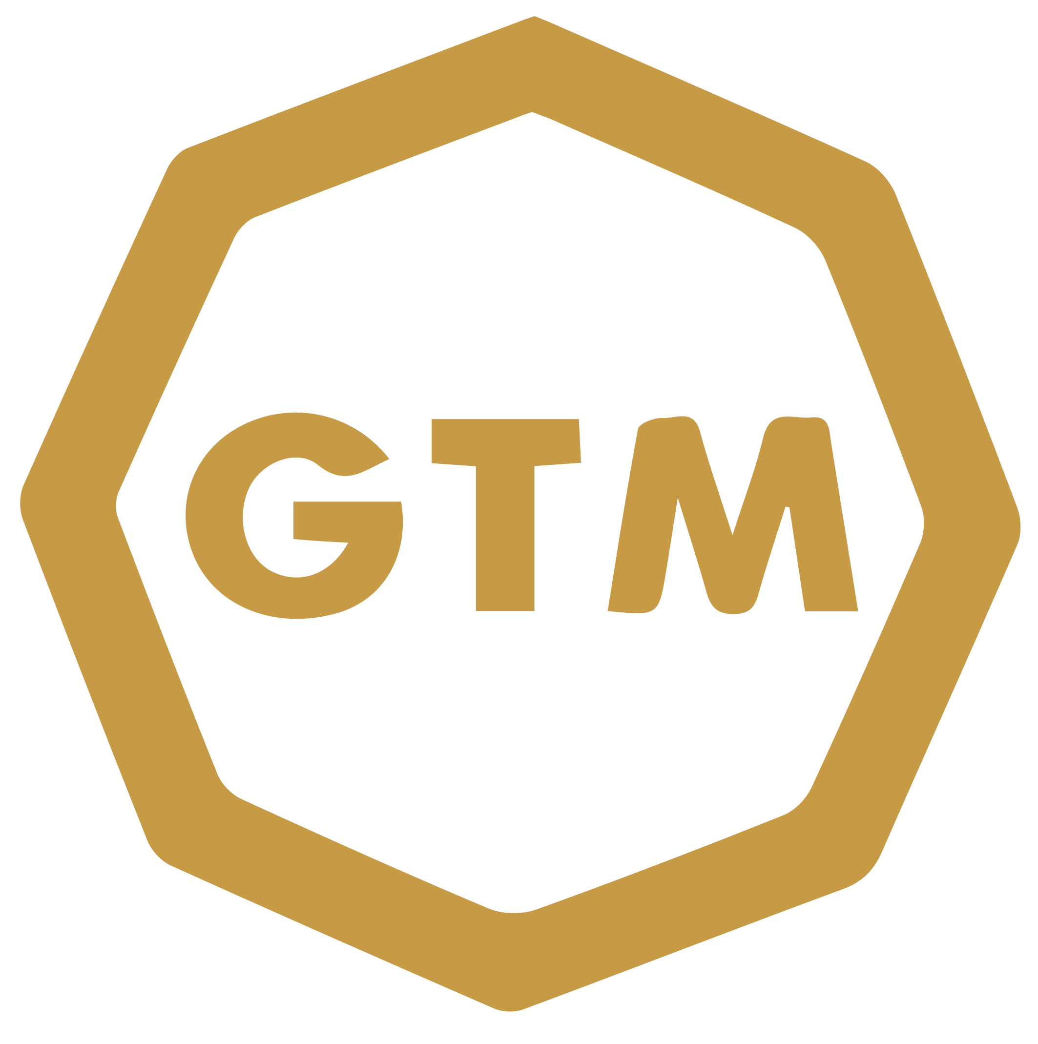 GTMULTIMEDIA